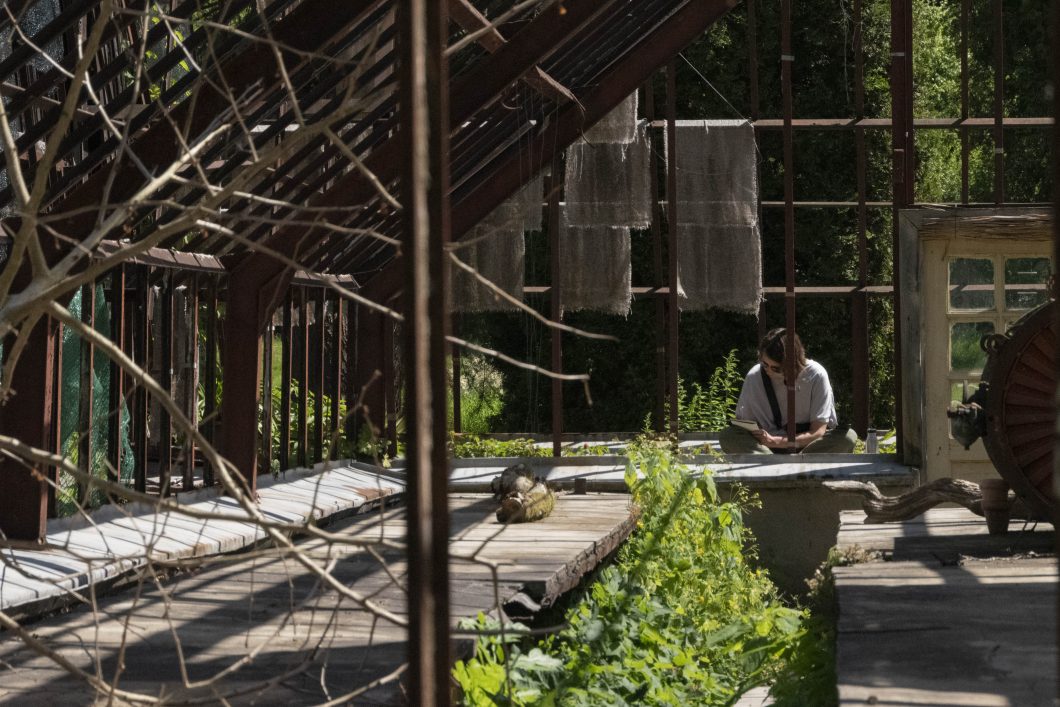 Pirmosios dirbtuvių dalies VU Botanikos sodo Vingio skyriuje akimirka. Nuotr. aut. Martyna Arrieta.